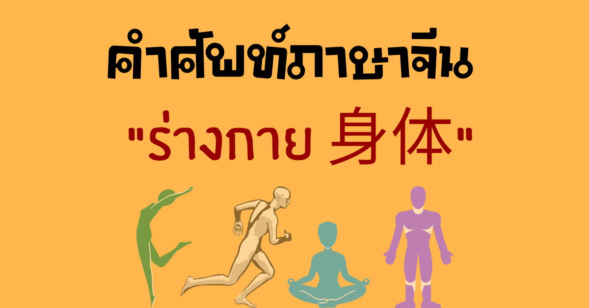 ร่างกายภาษาจีน คำศัพท์ภาษาจีน | เรียนภาษาจีนฟรี By ครูกาย